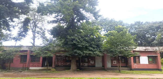 জাকসু: মূল প্রতিদ্বন্দ্বিতায় পাঁচ প্যানেল