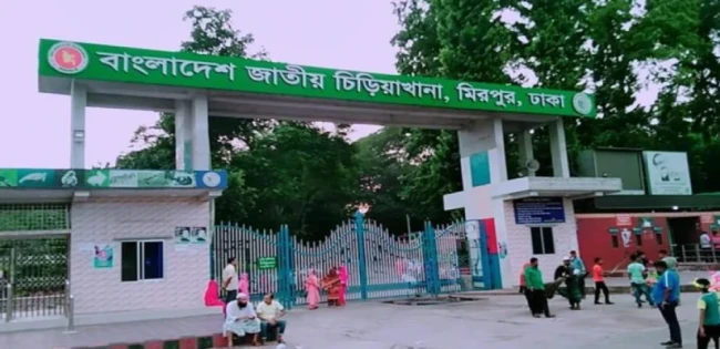 সিংহ বেরিয়ে গেছে  জাতীয় চিড়িয়াখানার খাঁচা থেকে