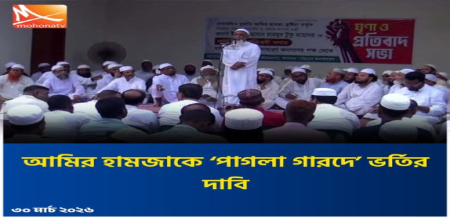 আমির হামজাকে  পাবনার ‘পাগলা গারদে’ ভর্তি করার দাবি