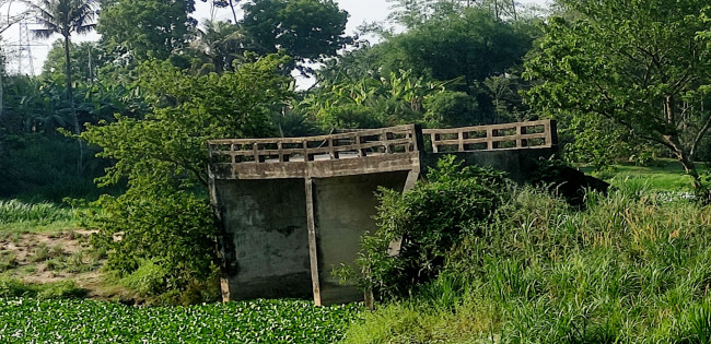 কুমারখালীতে জনভোগান্তির প্রতীক—কালী গঙ্গার উপর অপরিকল্পিত সেতু