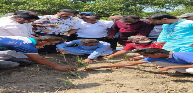 কুষ্টিয়াবাসীর উদ্দেশ্যে জননেতা জাকির হোসেন সরকারের খোলা চিঠি