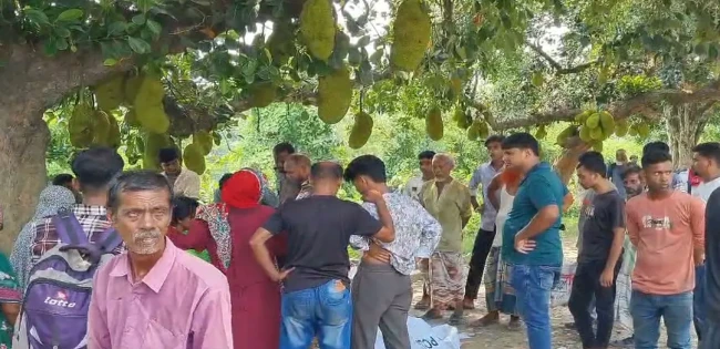 বোনের বাড়িতে বেড়াতে এসে ট্রেনের ধাক্কায় যুবক নিহত