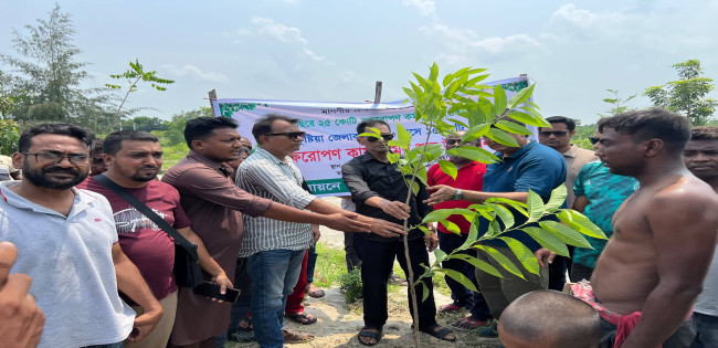গাছ না থাকলে আমরা বাঁচতে পারবো না :  বীর মুক্তিযোদ্ধা অধ্যক্ষ সোহরাব উদ্দিন