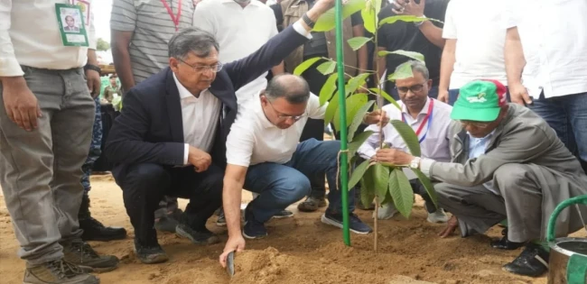 প্রধানমন্ত্রী দেশব্যাপী শিক্ষাপ্রতিষ্ঠানে বৃক্ষরোপণ কর্মসূচির উদ্বোধন করবেন
