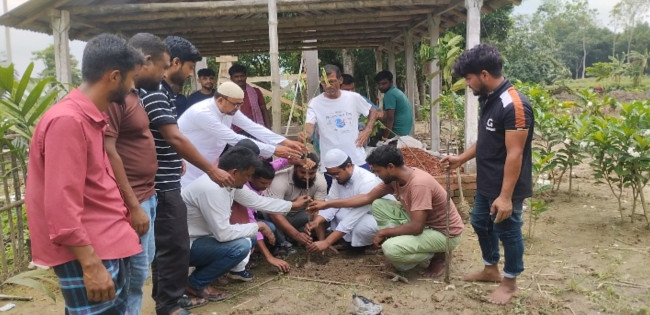 কুষ্টিয়ায় কবরস্থানে বৃক্ষরোপণ