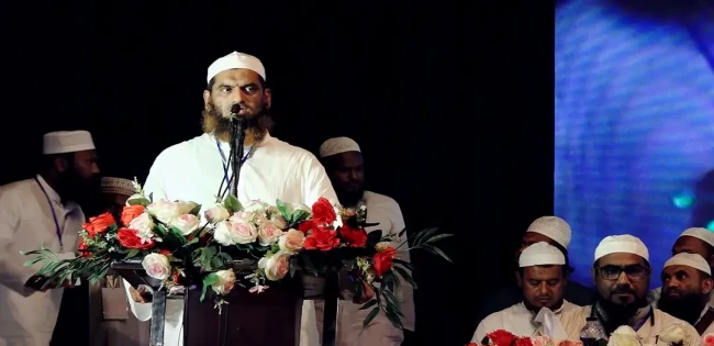 বিএনপি সংস্কারের পক্ষে থাকতে চায় না  : মামুনুল হক