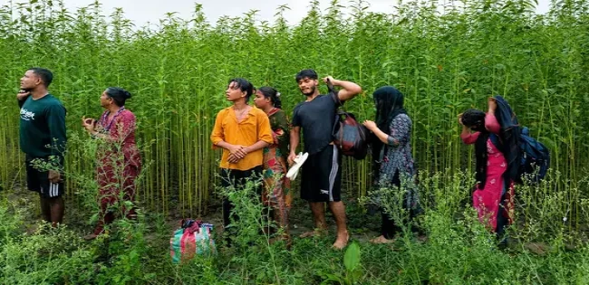 ফেরত পাঠালো বিজিবি ; কুষ্টিয়া সীমান্তে বিএসএফের পুশইন চেষ্টা,